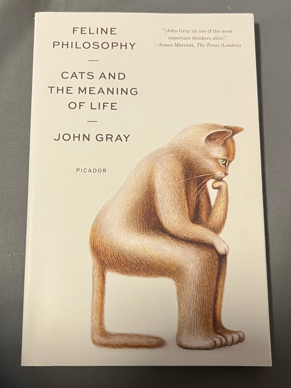 3/$20 - Feline Philosophy Cats and the Meaning of Life by John Gray — Paperback